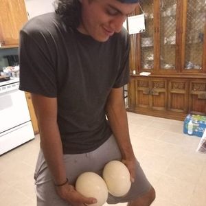 Meet your Posher, Benito